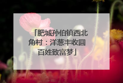 肥城孙伯镇西北角村：洋葱丰收圆百姓致富梦