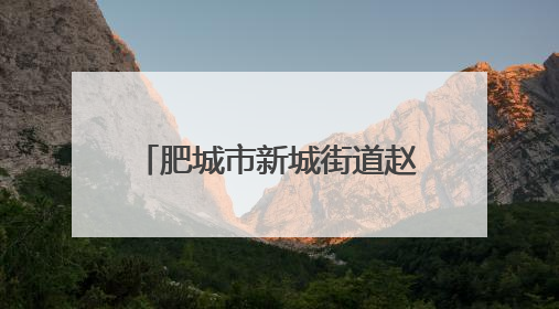 肥城市新城街道赵庄社区开展“安全生产 青年当先”安全生产月系列活动