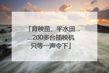 育秧苗、平水田……200多台插秧机只等一声令下