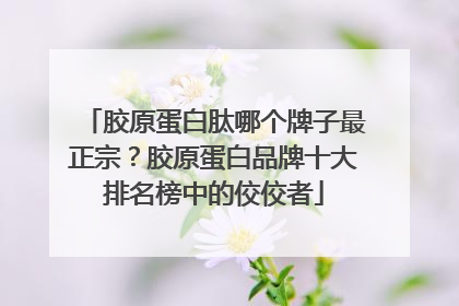 胶原蛋白肽哪个牌子最正宗？胶原蛋白品牌十大排名榜中的佼佼者