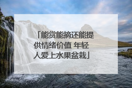 能赏能摘还能提供情绪价值 年轻人爱上水果盆栽