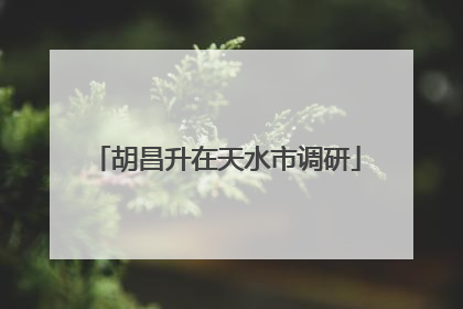 胡昌升在天水市调研