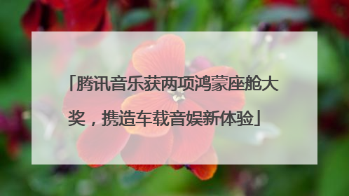 腾讯音乐获两项鸿蒙座舱大奖，携造车载音娱新体验