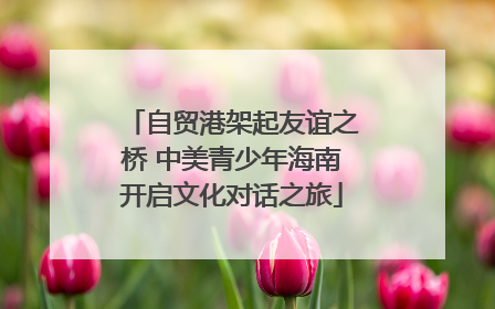自贸港架起友谊之桥 中美青少年海南开启文化对话之旅