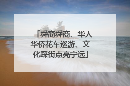舜裔舜商、华人华侨花车巡游、文化踩街点亮宁远