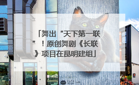 舞出“天下第一联”！原创舞剧《长联》项目在昆明建组
