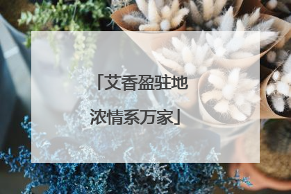 艾香盈驻地 浓情系万家