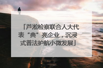 芦淞检察联合人大代表“典”亮企业，沉浸式普法护航小微发展