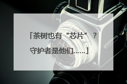 茶树也有“芯片”？守护者是他们……