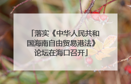 落实《中华人民共和国海南自由贸易港法》论坛在海口召开