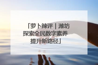 萝卜辣评｜潍坊探索全民数字素养提升新路径