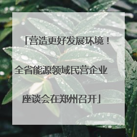营造更好发展环境！全省能源领域民营企业座谈会在郑州召开