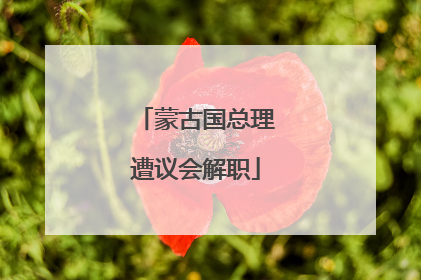 蒙古国总理遭议会解职