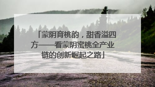 蒙阴育桃韵，甜香溢四方——看蒙阴蜜桃全产业链的创新崛起之路