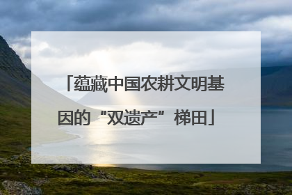 蕴藏中国农耕文明基因的“双遗产”梯田
