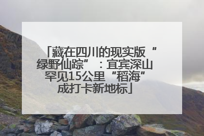 藏在四川的现实版“绿野仙踪”：宜宾深山罕见15公里“稻海”成打卡新地标