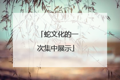 蛇文化的一次集中展示