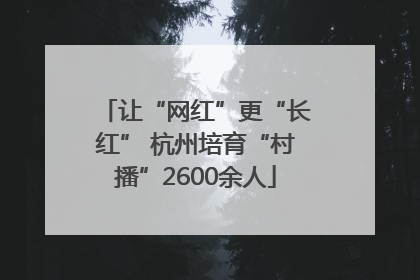 让“网红”更“长红” 杭州培育“村播”2600余人