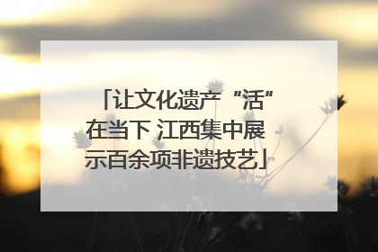 让文化遗产“活”在当下 江西集中展示百余项非遗技艺