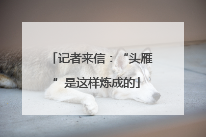 记者来信：“头雁”是这样炼成的