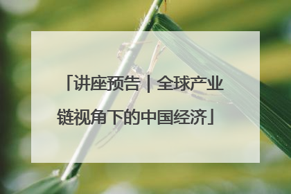 讲座预告｜全球产业链视角下的中国经济