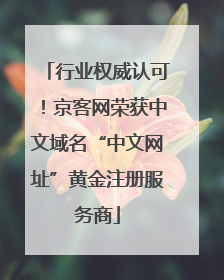行业权威认可！京客网荣获中文域名“中文网址”黄金注册服务商