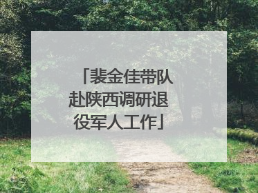 裴金佳带队赴陕西调研退役军人工作