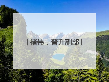 褚伟，晋升副部