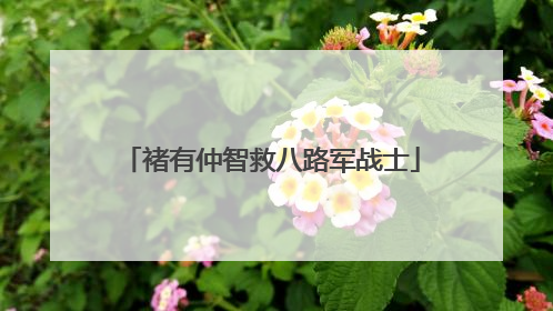 褚有仲智救八路军战士