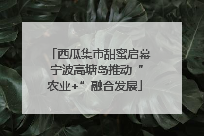 西瓜集市甜蜜启幕 宁波高塘岛推动“农业+”融合发展
