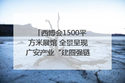 西博会1500平方米展馆 全景呈现广安产业“建圈强链”｜西博视界