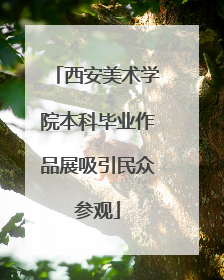 西安美术学院本科毕业作品展吸引民众参观