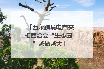西永跨境电商亮相西洽会“生态圈”越做越大