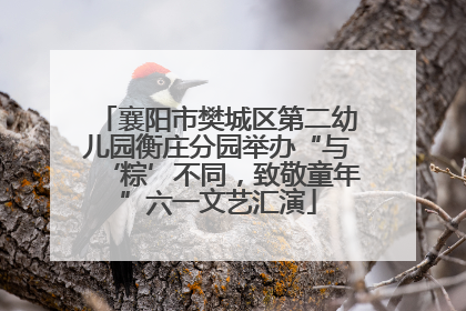 襄阳市樊城区第二幼儿园衡庄分园举办“与‘粽’不同，致敬童年”六一文艺汇演