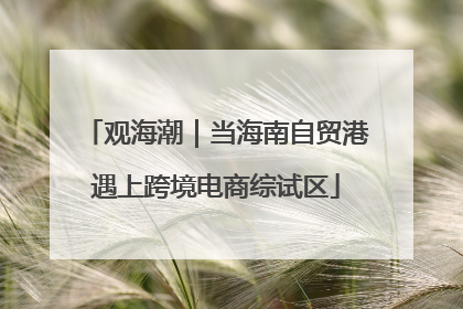 观海潮｜当海南自贸港遇上跨境电商综试区