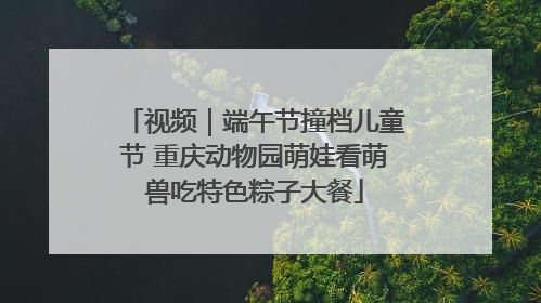 视频｜端午节撞档儿童节 重庆动物园萌娃看萌兽吃特色粽子大餐