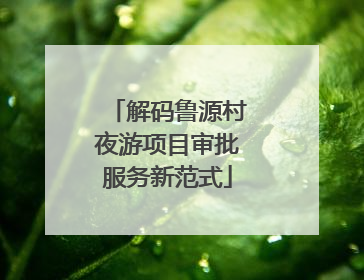 解码鲁源村夜游项目审批服务新范式