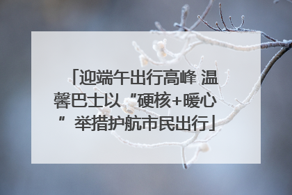迎端午出行高峰 温馨巴士以“硬核+暖心”举措护航市民出行