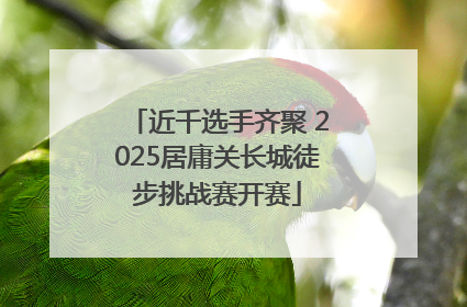 近千选手齐聚 2025居庸关长城徒步挑战赛开赛