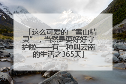 这么可爱的“雪山精灵”，当然是要好好守护啦——有一种叫云南的生活之365天