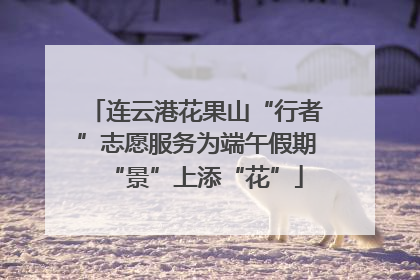 连云港花果山“行者”志愿服务为端午假期“景”上添“花”