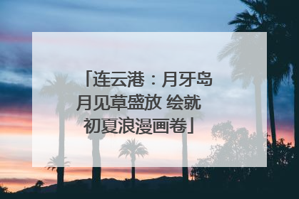 连云港：月牙岛月见草盛放 绘就初夏浪漫画卷
