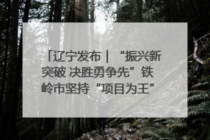 辽宁发布｜“振兴新突破 决胜勇争先”铁岭市坚持“项目为王”推进经济高质量发展