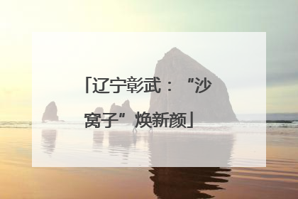辽宁彰武：“沙窝子”焕新颜