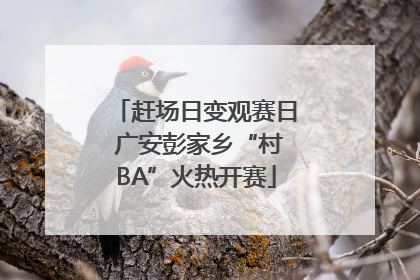 赶场日变观赛日 广安彭家乡“村BA”火热开赛