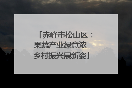 赤峰市松山区：果蔬产业绿意浓 乡村振兴展新姿