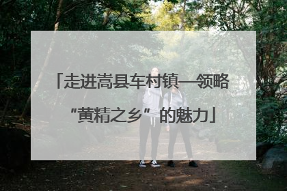 走进嵩县车村镇—领略“黄精之乡”的魅力