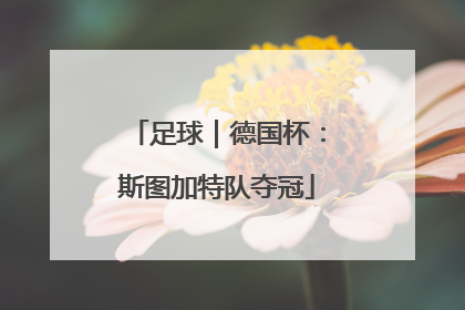 足球｜德国杯：斯图加特队夺冠