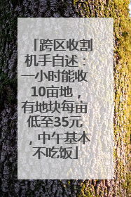 跨区收割机手自述：一小时能收10亩地，有地块每亩低至35元，中午基本不吃饭
