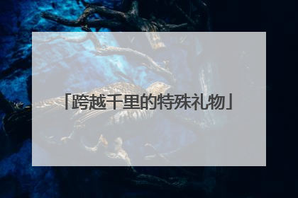 跨越千里的特殊礼物
